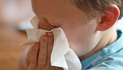 Was tun gegen Erkältung ?